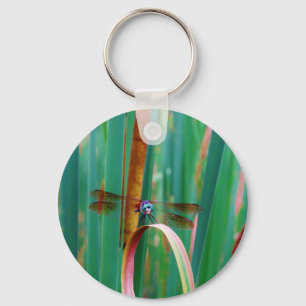 Een blauwgroen eyed Dragonfly met staarten Sleutelhanger