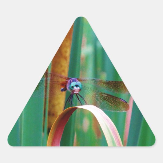 Een blauwgroen eyed Dragonfly met staarten Sticker (Voorkant)