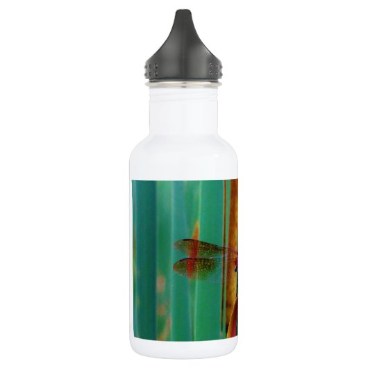 Een blauwgroen eyed Dragonfly met staarten Waterfles (Links)