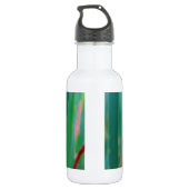 Een blauwgroen eyed Dragonfly met staarten Waterfles (Achterkant)