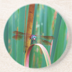Een blauwgroen eyed Dragonfly met staarten Zandsteen Onderzetter