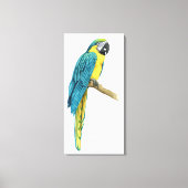 Een Blauwgroen Macaw Canvas Afdruk (Voorkant)