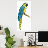 Een Blauwgroen Macaw Poster (Thuiskantoor)