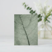 Een bleek groen blad, close-up. briefkaart (Staand voorkant)