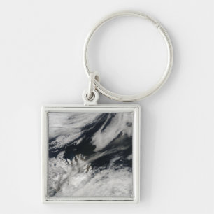 Een bleke grijze aspluim van de top sleutelhanger