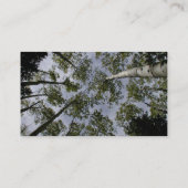 Een blik op Aspen-bomen in het bos Visitekaartje (Achterkant)