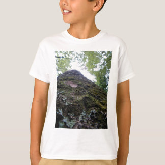 Een blik op de Kauri T-shirt