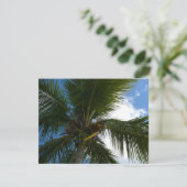 Een blik op de tropische Natuur van de Kokospalm (Staand voorkant)