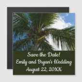 Een blik op de tropische Natuur van de Kokospalm (Voorkant / Achterkant)