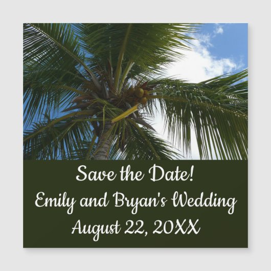 Een blik op de tropische Natuur van de Kokospalm (Voorkant)