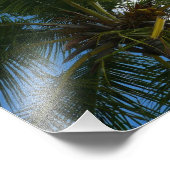 Een blik op de tropische Natuur van de Kokospalm Foto Afdruk (Hoek)