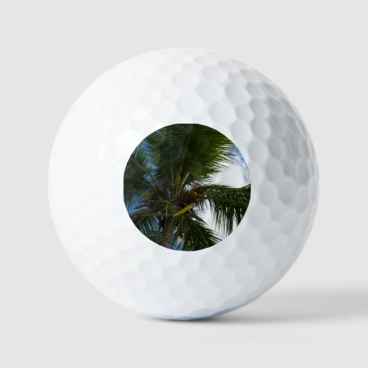Een blik op de tropische Natuur van de Kokospalm Golfballen (Voorkant)