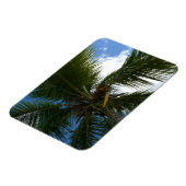 Een blik op de tropische Natuur van de Kokospalm Magneet (Linkerzijde)