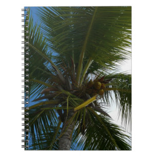 Een blik op de tropische Natuur van de Kokospalm Notitieboek