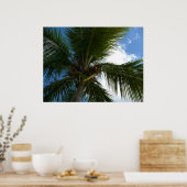 Een blik op de tropische Natuur van de Kokospalm Poster (Keuken)