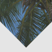 Een blik op de tropische Natuur van de Kokospalm Tissuepapier (Detail)