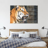 Een blik op een tijger canvas afdruk (Insitu (Slaapkamer))
