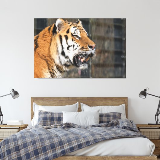 Een blik op een tijger canvas afdruk (Insitu (Slaapkamer))