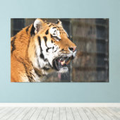 Een blik op een tijger canvas afdruk (Insitu (Houten vloer))