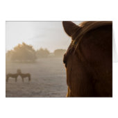 Een blik op het Wenskaart (Voorkant Horizontaal)