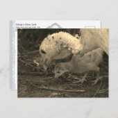 Een blik van dichtbij maken - briefkaart (Voorkant / Achterkant)