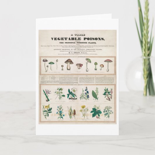 Een blisterverpakking met blisterverpakking kaart (Voorkant)