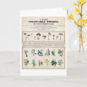 Een blisterverpakking met blisterverpakking kaart (Gele Bloem)