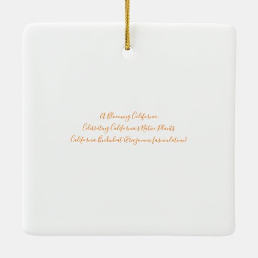 Een bloeiend Californië: Californië Buckwheat Keramisch Ornament (Achterkant)