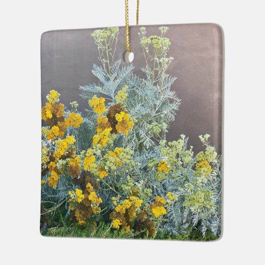 Een bloeiend Californië: Catalina Silverlace Keramisch Ornament (Links)