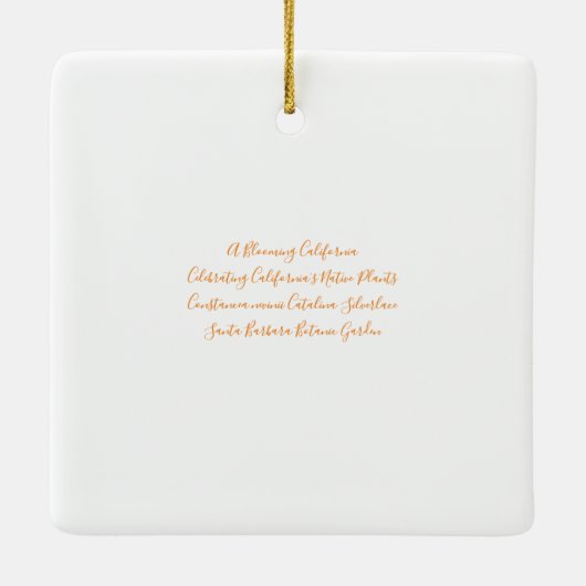 Een bloeiend Californië: Catalina Silverlace Keramisch Ornament (Achterkant)