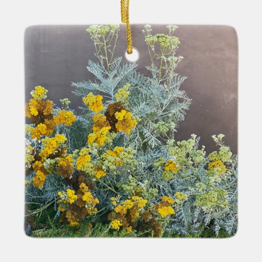 Een bloeiend Californië: Catalina Silverlace Keramisch Ornament (Voorkant)