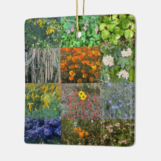 Een bloeiend Californië: Colour Celebration 2021 Keramisch Ornament (Links)