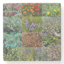 Een bloeiend Californië: Dubbele regenboog 2020