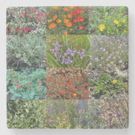 Een bloeiend Californië: Dubbele regenboog 2020 Stenen Onderzetter