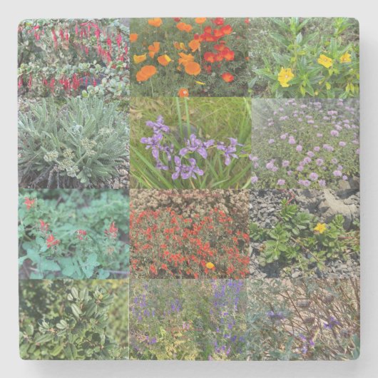 Een bloeiend Californië: Dubbele regenboog 2020 Stenen Onderzetter (Voorkant)