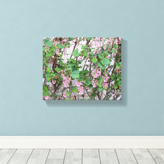 Een bloeiend Californië: Lente in roze Canvas Afdruk (Insitu (Houten vloer))