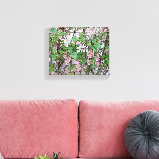 Een bloeiend Californië: Lente in roze Canvas Afdruk (Insitu (Woonkamer))