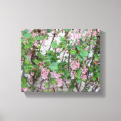 Een bloeiend Californië: Lente in roze Canvas Afdruk (Voorkant)