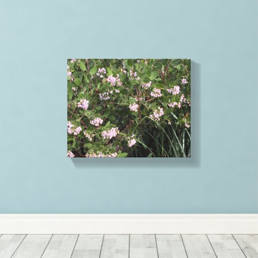 Een bloeiend Californië: Manzanita (Arctostaphylos Canvas Afdruk (Insitu (Houten vloer))