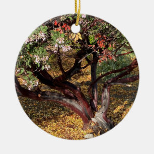 Een bloeiend Californië: Manzanita Keramisch Ornament