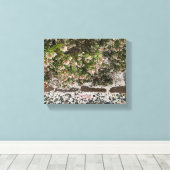 Een bloeiend Californië: Manzanita Snow Canvas Afdruk (Insitu (Houten vloer))