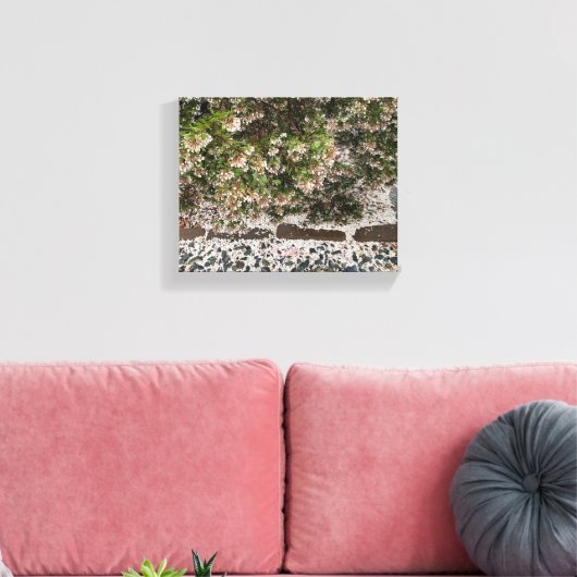 Een bloeiend Californië: Manzanita Snow Canvas Afdruk (Insitu (Woonkamer))