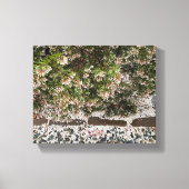 Een bloeiend Californië: Manzanita Snow Canvas Afdruk (Voorkant)