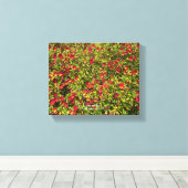 Een bloeiend Californië: Mimulus 'Red' Canvas Afdruk (Insitu (Houten vloer))