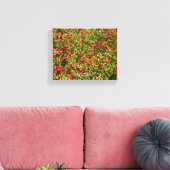 Een bloeiend Californië: Mimulus 'Red' Canvas Afdruk (Insitu (Woonkamer))