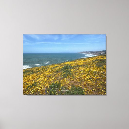 Een bloeiend Californië: Mori Point Canvas Afdruk (Voorkant)