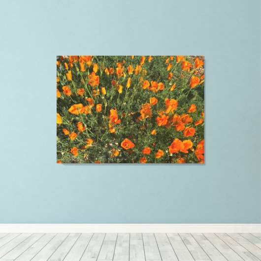 Een bloeiend Californië: Morning Poppies Canvas Afdruk (Insitu (Houten vloer))