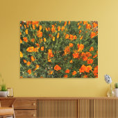 Een bloeiend Californië: Morning Poppies Canvas Afdruk (Insitu (Woonkamer))
