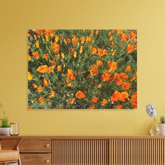Een bloeiend Californië: Morning Poppies Canvas Afdruk (Insitu (Woonkamer))
