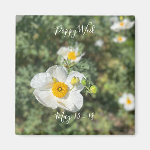 Een bloeiend Californië: Poppy Week Magneet